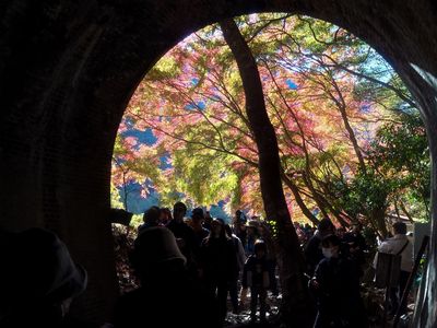 廃線跡のトンネルの中から