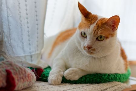 それってどういうことですか？