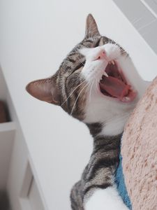 呼吸を止めて１秒アタシ真剣な目をしたから‼️