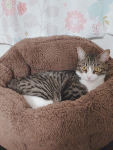 冬がはじまるよ☆