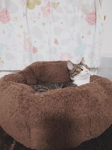 優しさに包まれた王子♥