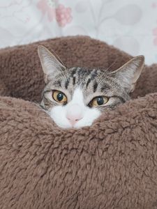 初めて怒られた時の顔(笑)