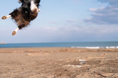 -フレームアウト-