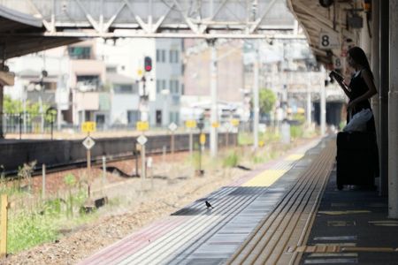 危ないですから 黄色い点字ブロックまで お下がりください。