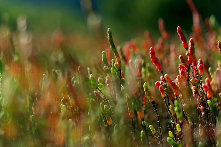 22.5センチメートルの世界