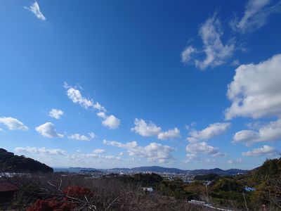 春待ち遠しい丘から