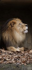 王様は何か思考中でございますか^_