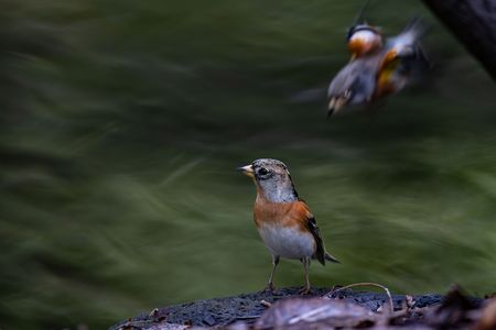 隙あり・・・！