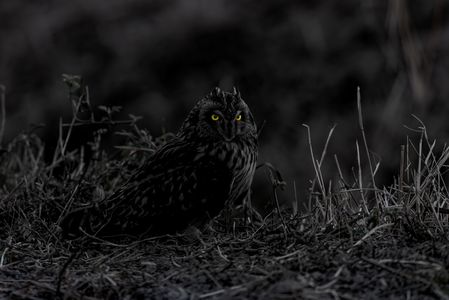 ここからが私の時間