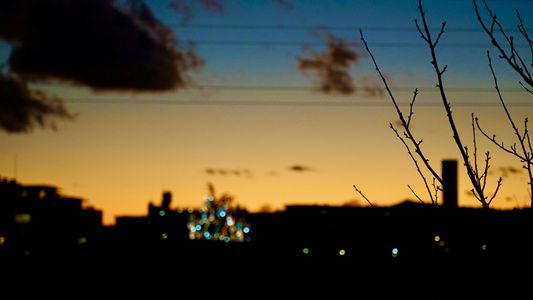 コロナが始まった年の大晦日