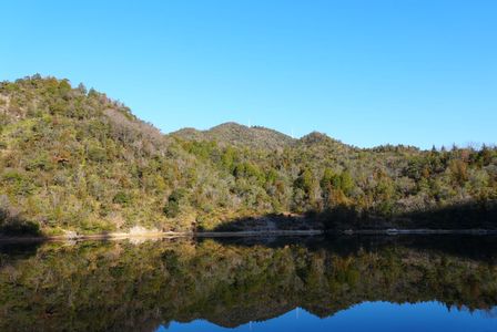 初日の出の帰り道