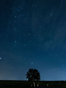 しんしのつの空