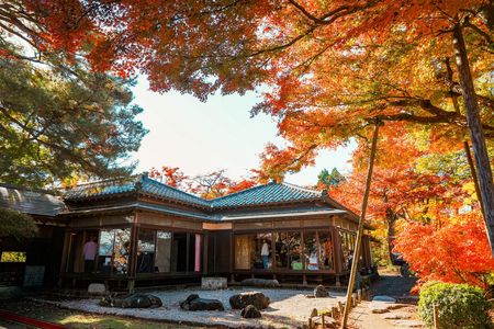 長岡市越路　もみじ園