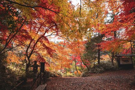四季の庭　泉恵園