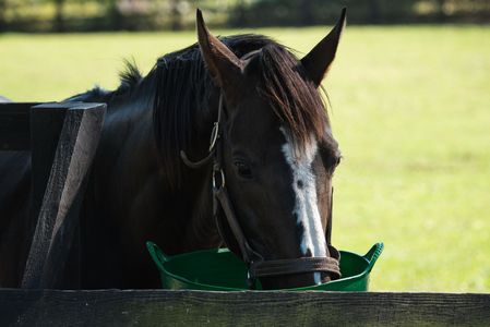 お食事タイム！