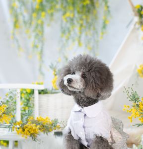 おしとやかに...