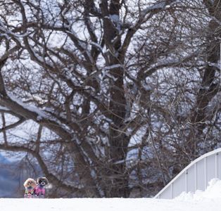 影の立役者はパパ