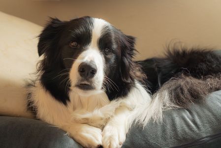 おはよう、ナツ。