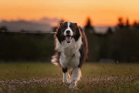 だーいすき！！