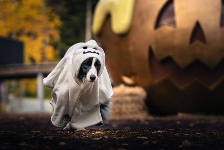 イタズラしちゃうぞ！