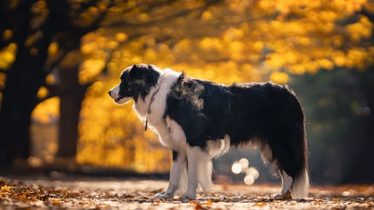 息が白く染まる季節だね。