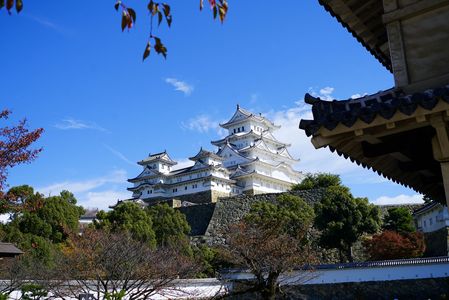 しらさぎじょう の 秋 ｡.*:+☆