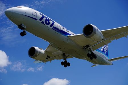 ANA787ロゴ機 就航記念日｡.*:+☆