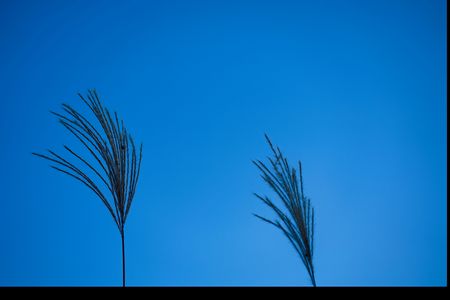 2025_昭和記念公園③