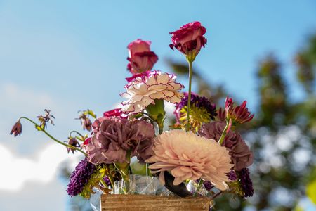 2025年11月15日 母の新作