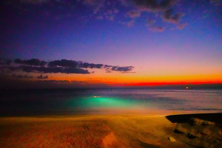 グリーンに輝く