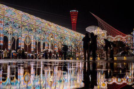 雨夜に輝く幻想のルミナリエ