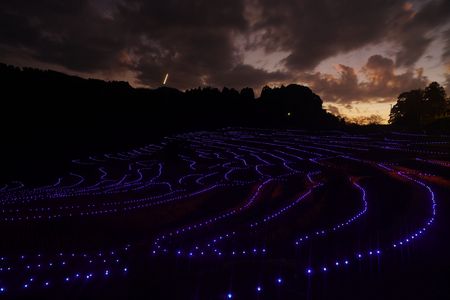 大山千枚田に行ってきました