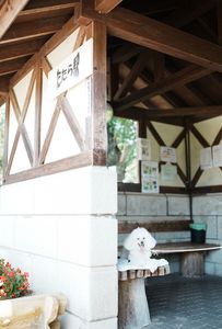 多田羅駅とぼく