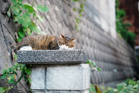 こっちみるなよ〜