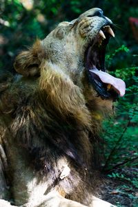 今日はもう働きたくない