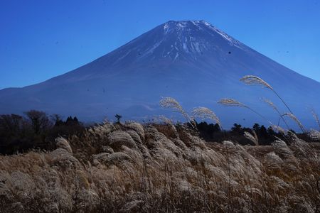 富士山の有る風景