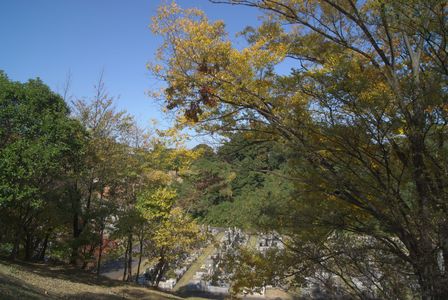 緑ヶ丘霊園・秋の彩り - 川崎市営霊園（市営墓地）