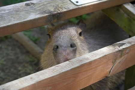 何見てんだコラァ！