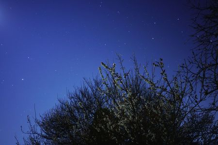 春の夜空