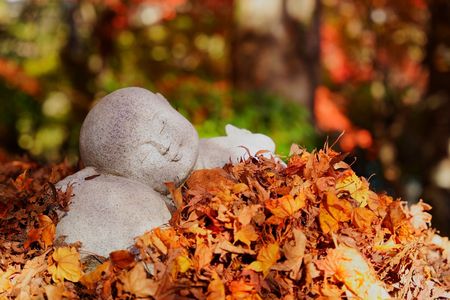 秋色に包まれて