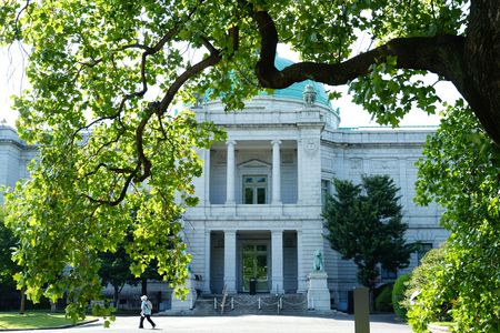 キラキラの日差しの中で