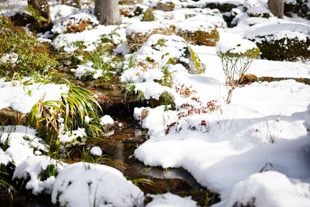 雪解けのせせらぎ