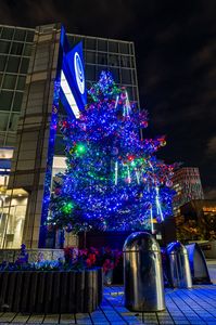 冬がはじまるよ