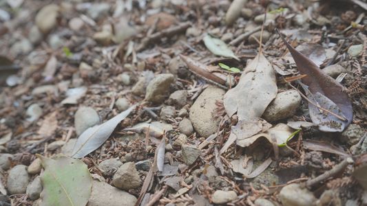 いつもは見ない景色