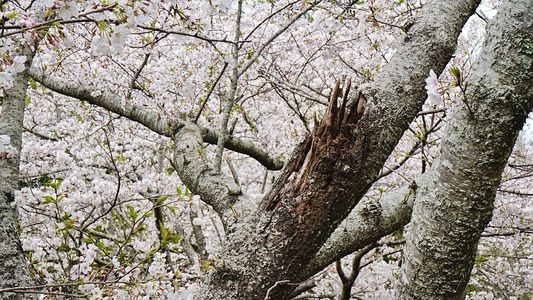 力強さという感覚