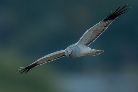 曇りで陽が沈む頃…