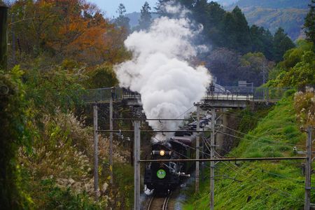 パレオエクスプレス　秋色の中