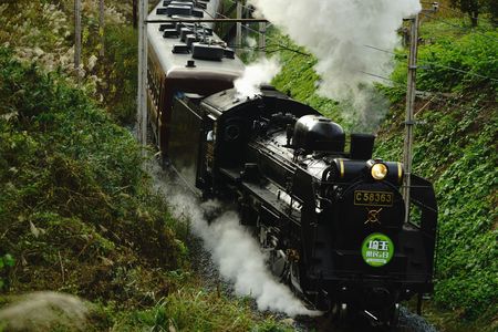 パレオエクスプレス　力強く