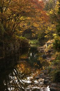 長瀞～武蔵嵐山付近を散策してきました。