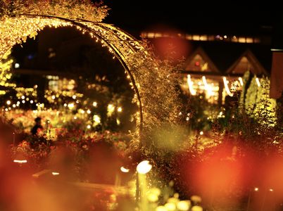 いばらきフラワーパーク　イルミネーション